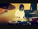 【ポケモンRS】ダイゴとの対戦BGMを叩いてみた
