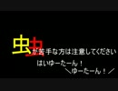 くもじゃらし