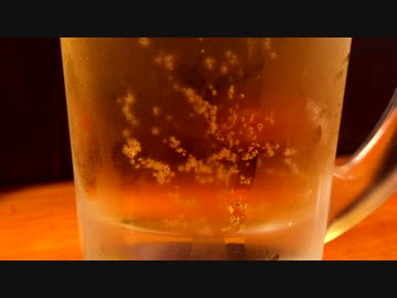 生ビールからお通しｗ　「居酒屋枠」
