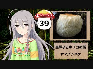 【モバマス】星輝子とキノコの話39　ヤマブシタケ