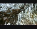 岩と表面に張った氷の間を流れる水がつららを成長させていく様子♪