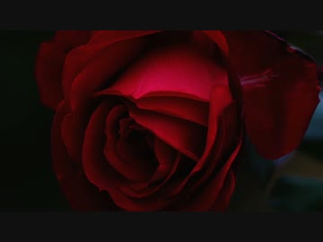 【NNIオリジナル曲】Earworm - Op.1【ピアノインスト】