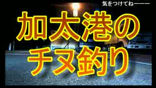 加太港でチヌ釣り