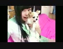 Σ今期プリキュア見るから*ハートキャッチ☆パラダイス　踊ってみた　#4