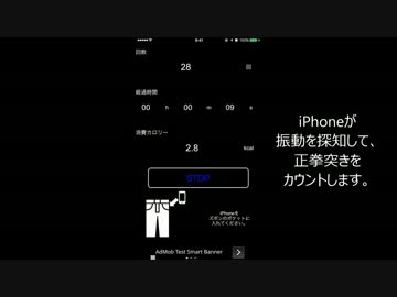 【iPhoneアプリ】感謝の正拳突きを作ってみた