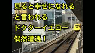 幸せになると噂のドクターイエローに偶然遭遇！