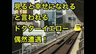 幸せになると噂のドクターイエローに偶然遭遇！