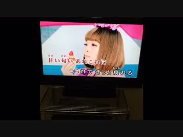 もったいないとらんど／きゃりーぱみゅぱみゅ