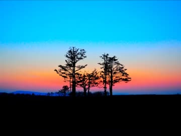 この動画に合う曲を教えてくれ【写真450枚】