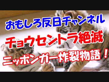 【チョウセントラ絶滅】 ニッポンガー炸裂物語！