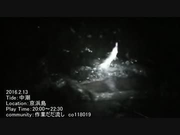 【湾奥釣行記】シーバスチャレンジ_Ver.16.2.13