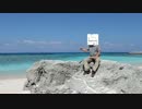 【RASHEEN】だいたい日本一周の旅　その20【沖縄　波照間　→　本島】