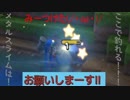 [DQB]　竜王「世界の半分を・・・」 私「いやっ全部よこせぇぇ!!!」  LV11
