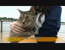 (o･∇･o)ライザー５【EXVSFB×最上静香実況】