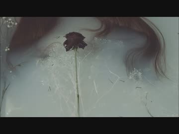 eternal gravity - Chouchou