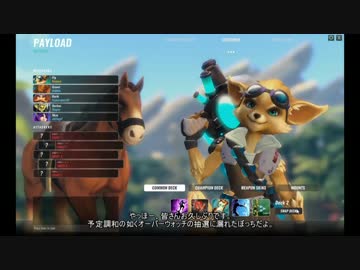 狙撃の壁を越えたくて Paladins ゆっくり実況 Part10
