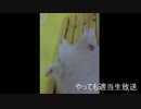 やってもの適当生放送アーカイブ動画　その２３