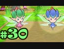 【ポポロクロイス】　平成のピエトロ王子の牧場物語　【Part30】