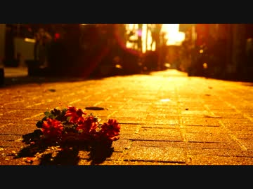 二月の花嫁 Sori Sawada Feat 初音ミク V3 Dark Vocaloid Database