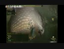 部長と ま視聴者の モンスターハンター 3G HD Ver.【実況プレイ】その143