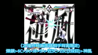 エヌアイン完全世界　アカツキコンボ動画