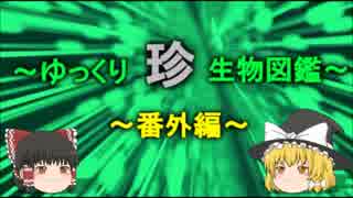 ～ゆっくり　珍　生物図鑑～　新・番外編【10】