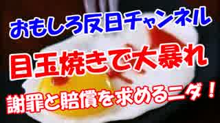 【目玉焼きで大暴れ】 謝罪と賠償を求めるニダ！