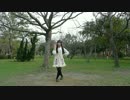 【夕日菜】Calc. 踊ってみた