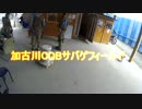 初心者が行くサバイバルゲーム【加古川CQBサバゲフィールド】　part2