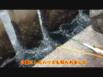 貧乏なので腹一杯おかずをを釣る　前編