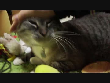 まずはヒザから！ジャンくん抱っこの練習