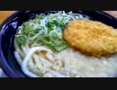 たぬきうどんにハムカツを乗せてみた　「おはうどん枠」