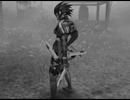 【替え歌　戦国BASARA　佐幸？】insanity talk