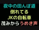 夜中の田んぼ道、倒れてるJKの自転車、茂みからうめき声【2ch】