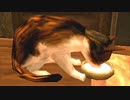 【トワイライトプリンセス】昏光石鏡裏に交ふ！part２２．５　ラジオ３４