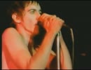 IGGY POP - The Passenger