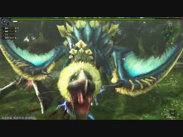 【MHF-G】会長、穿龍棍への道5-1