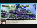 サンゴ水槽 システム紹介動画 Part4 息抜き回 皆さんの水槽編