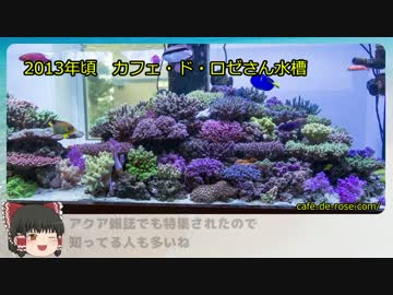 サンゴ水槽 システム紹介動画 Part4 息抜き回 皆さんの水槽編
