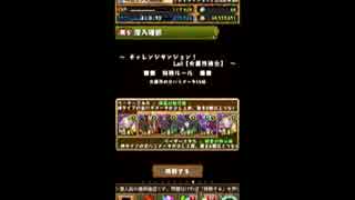 パズドラ 第25回チャレンジダンジョン Lv1-10制霸 堕ルシ ALLノーコン