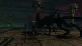 AVP evolution テスト
