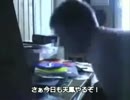 ある天鳳民の日常