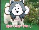 【アンテMAD】MTT直販 愛犬(?)ロボ「テミー」【雑コラ】