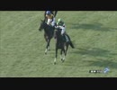 【競馬】2016年 チューリップ賞 シンハライト【GIII】