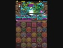 【パズドラ】 ヨルムンガンド降臨！　超地獄級 　ネプドラ 周回