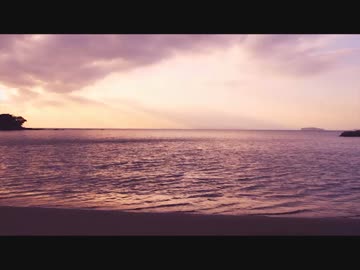 Dear anemone, - Chouchou