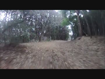 皆野の廃林道、廃道