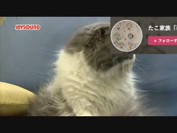 メイン募集！少年と魔法のロボット【ハモってみた】
