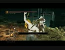 【PS3ダークソウル２】続・太陽でがんばります【サルヴァ２】