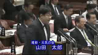 平成28年3月4日参院予算委員会　山田太郎議員質疑